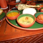 Vedic Village