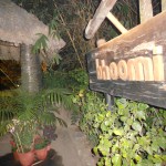 Vedic Village